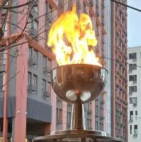 Чаша для огня ПОЛИНА во Владивостоке ∅ 360 мм. (518975)