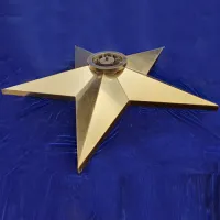 Звезда вечный огонь (1628) поставка комплект горелка ГВД 379 10 89 00 ПС ø 1100 мм. пустотелая во Владивостоке